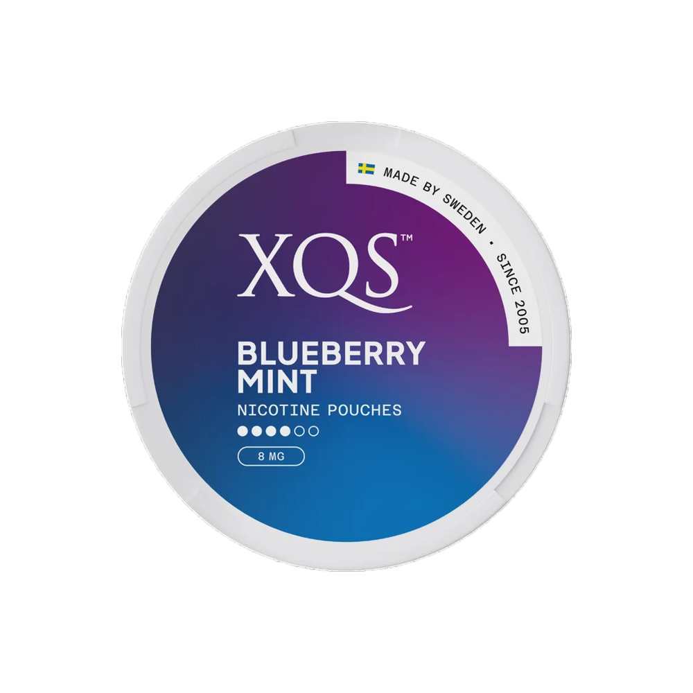 XQS BLUEBERRY MINT nicotine pouches can